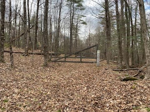 0 East Hill Road Leyden, MA 01337 - Photo 7 of 10 Gallery Image 7