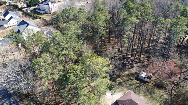 a view of a city with lush green forest