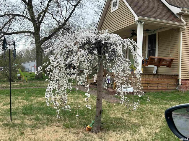 $115,000 | 118 West Clark Street, Havana, IL 62644