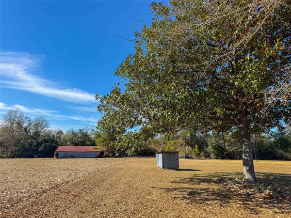 a house view with a yard
