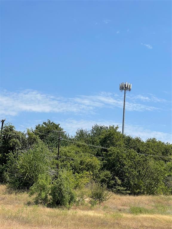 287 South Decatur Tx 76234 Decatur, TX 76234 - Photo 10 of 10 View of local wilderness