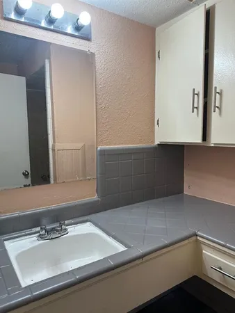 a bathroom with a sink and a mirror