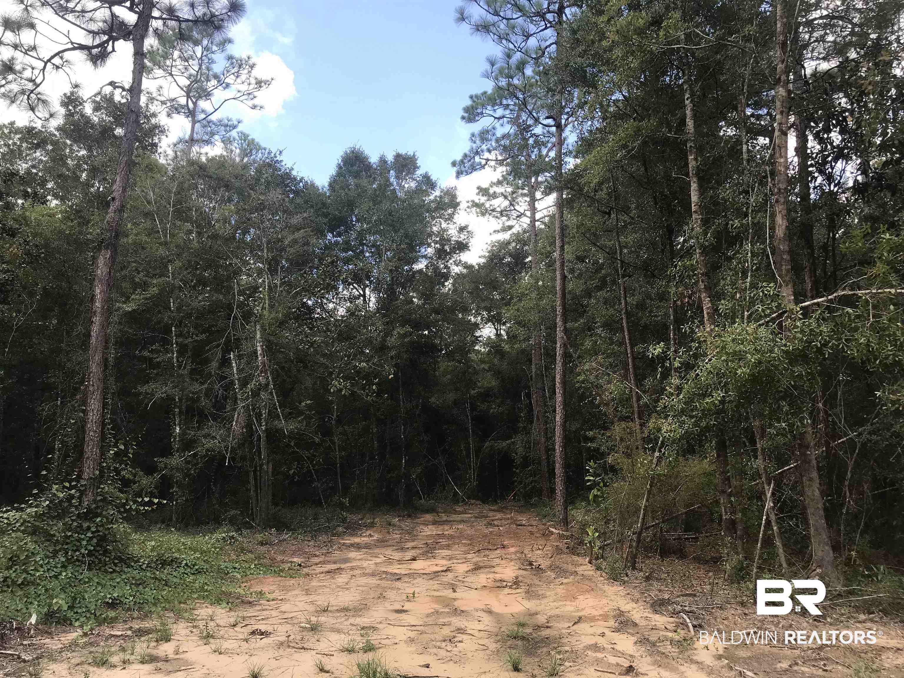 14356 State Highway Silverhill, AL 36576 - Photo 9 of 15 View of local wilderness