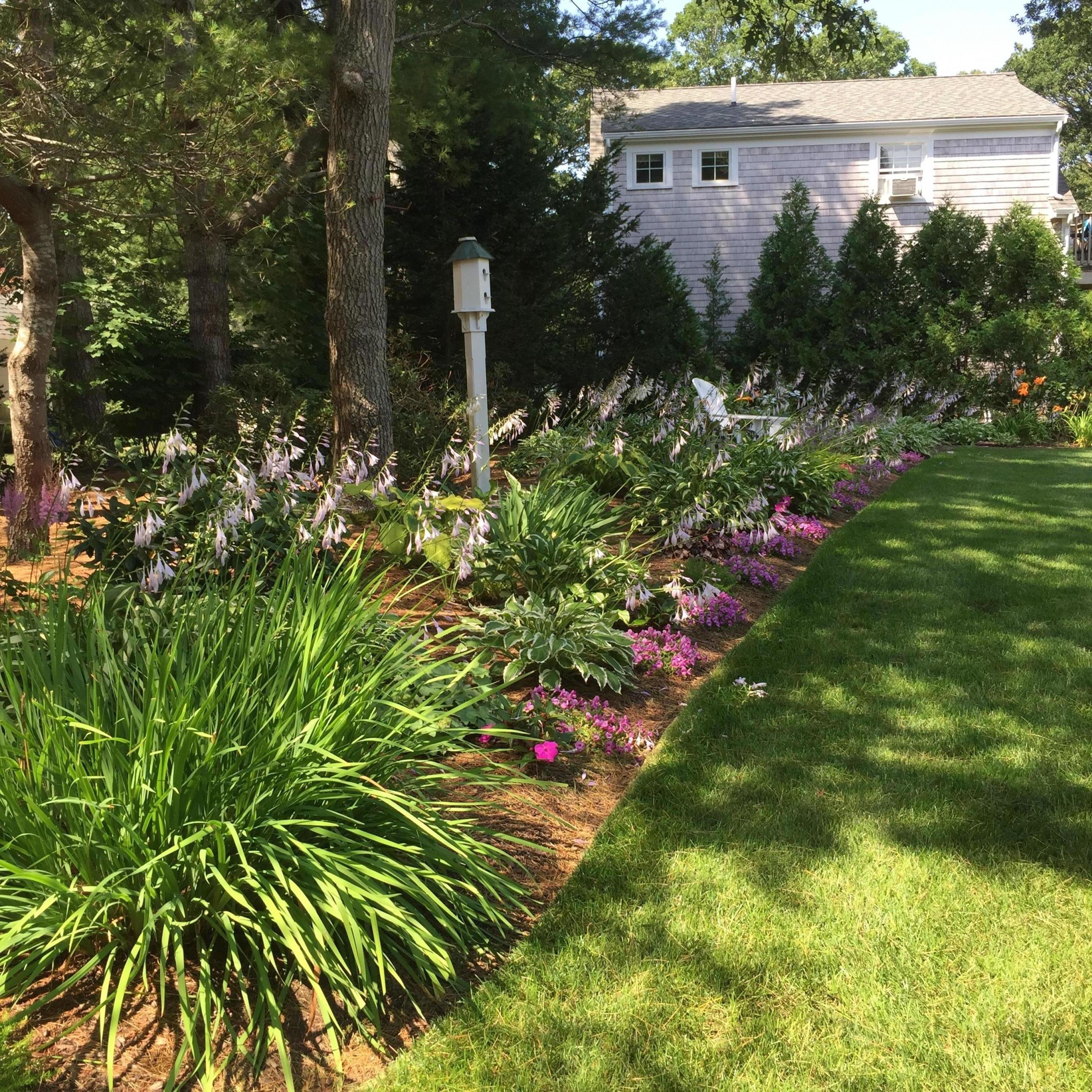 53 Blanid Road Osterville, MA 02655 - Photo 19 of 21 a view of a flower arrangement in a backyard