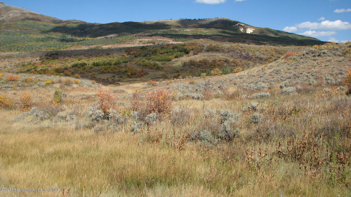 a view of a dry yard with mountains in the background