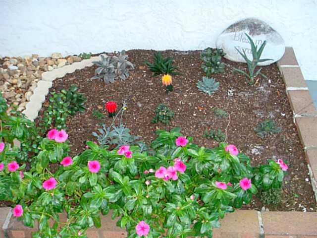 2950 Southeast Ocean Boulevard, Unit 1357 Stuart, FL 34996 - Photo 15 of 25 a view of a flower in a yard