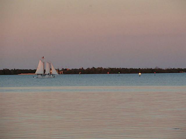 2950 Southeast Ocean Boulevard, Unit 1357 Stuart, FL 34996 - Photo 24 of 25 a view of lake