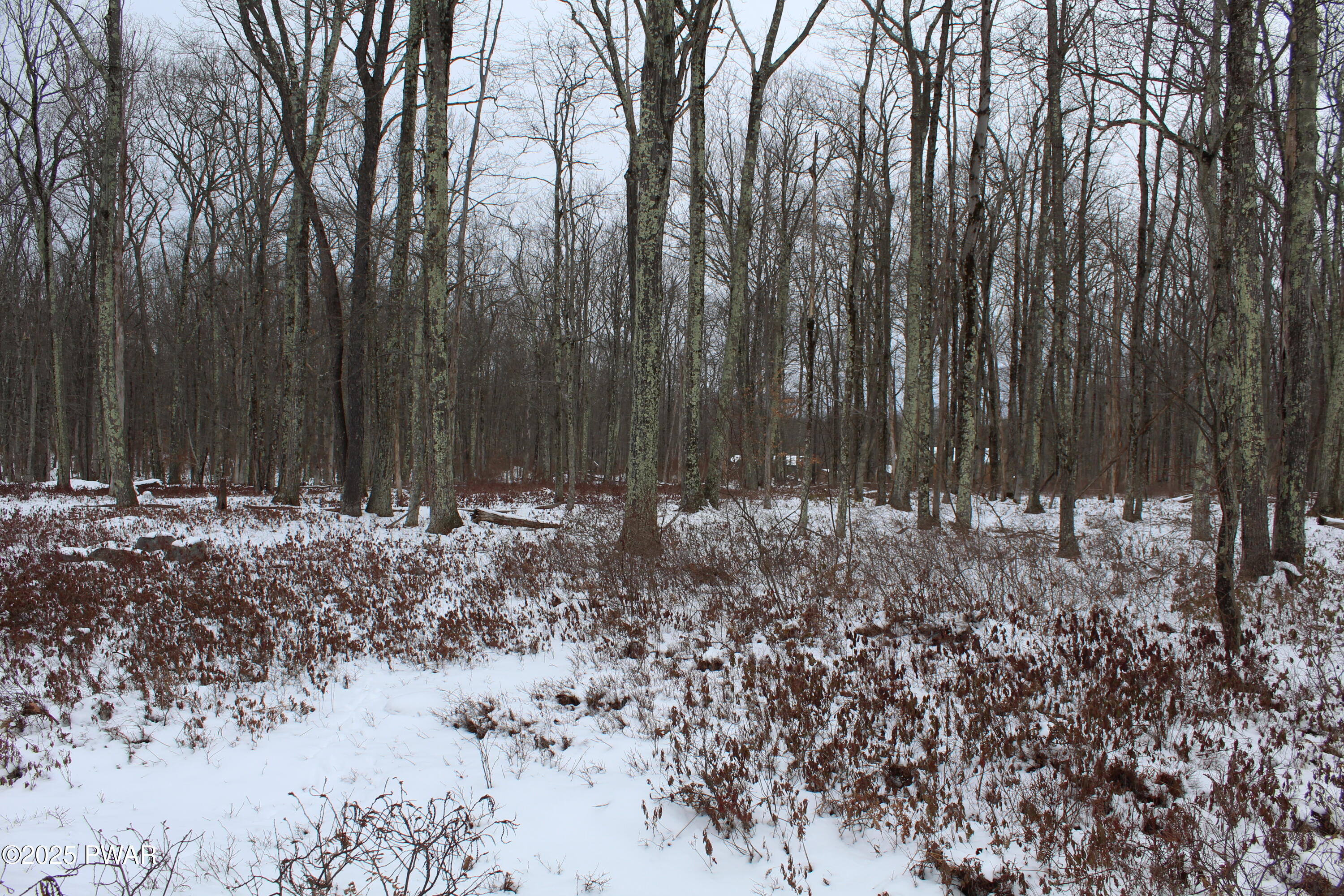 Lot 133 Ironwood & Ruff Road Canadensis, PA 18325 - Photo 4 of 17 View from Ruff Road 4