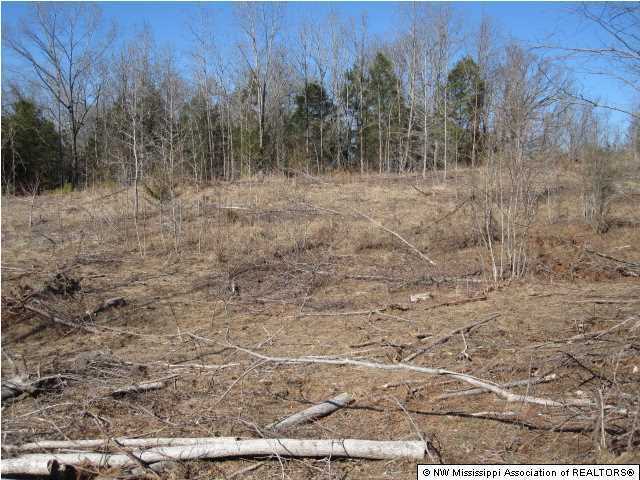 116 Tate Marshall Road Coldwater, MS 38618 - Photo 11 of 27 Additional Photo