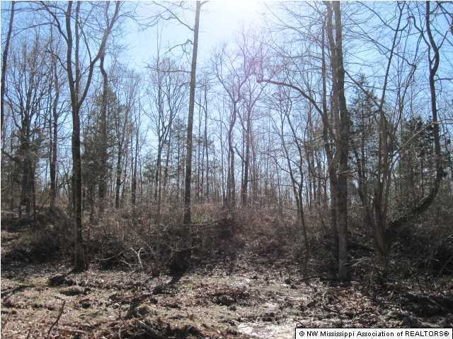 116 Tate Marshall Road Coldwater, MS 38618 - Photo 14 of 27 Additional Photo