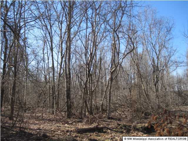 116 Tate Marshall Road Coldwater, MS 38618 - Photo 15 of 27 Additional Photo