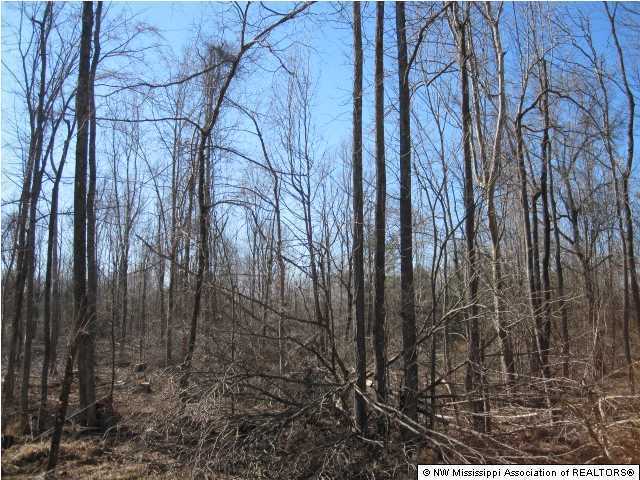 116 Tate Marshall Road Coldwater, MS 38618 - Photo 19 of 27 Additional Photo