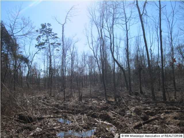 116 Tate Marshall Road Coldwater, MS 38618 - Photo 20 of 27 Additional Photo