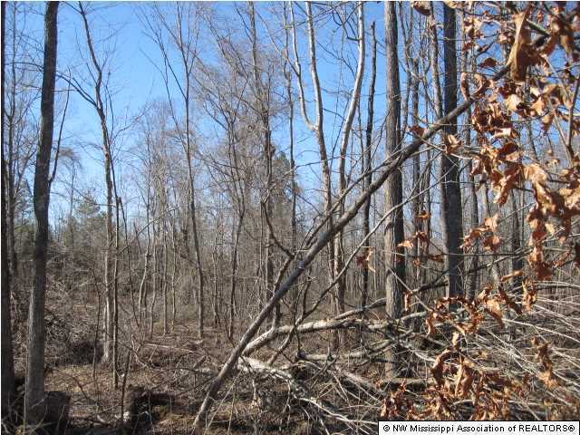 116 Tate Marshall Road Coldwater, MS 38618 - Photo 22 of 27 Additional Photo