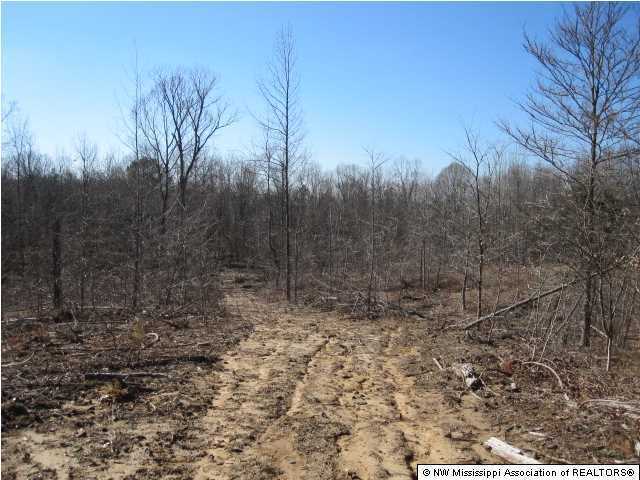 116 Tate Marshall Road Coldwater, MS 38618 - Photo 23 of 27 Additional Photo
