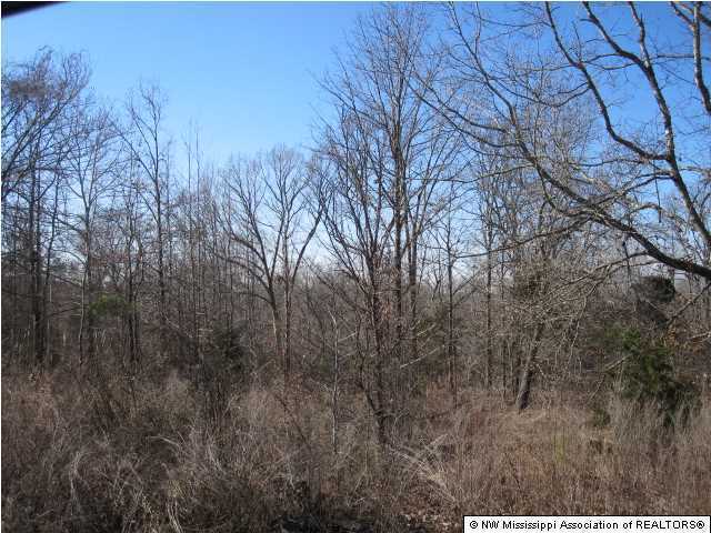 116 Tate Marshall Road Coldwater, MS 38618 - Photo 24 of 27 Additional Photo