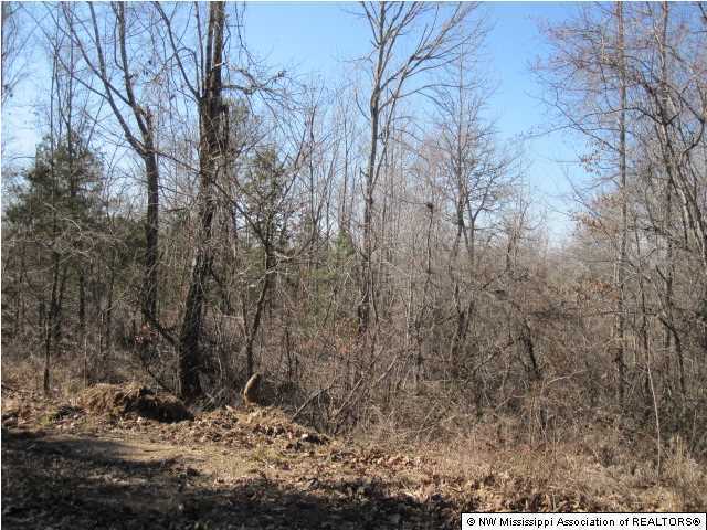 116 Tate Marshall Road Coldwater, MS 38618 - Photo 25 of 27 Additional Photo