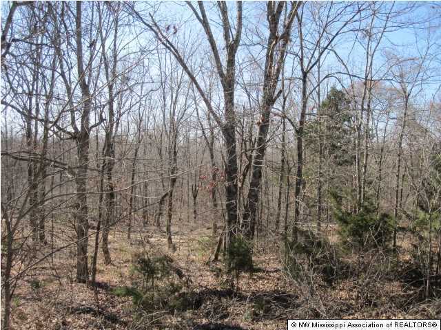 116 Tate Marshall Road Coldwater, MS 38618 - Photo 26 of 27 Additional Photo