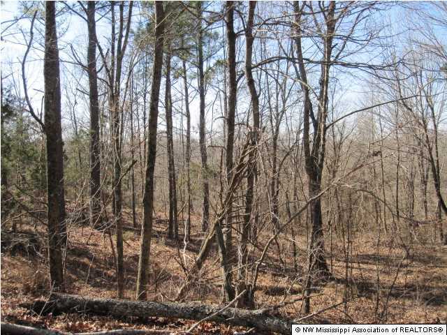 116 Tate Marshall Road Coldwater, MS 38618 - Photo 27 of 27 Additional Photo
