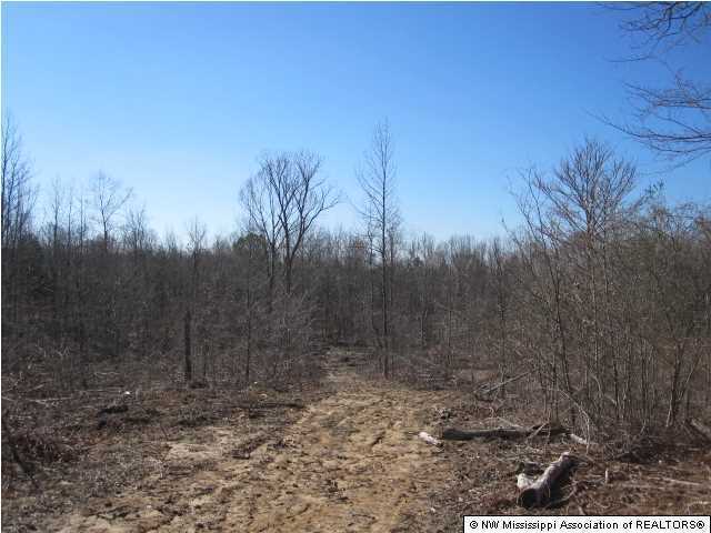 116 Tate Marshall Road Coldwater, MS 38618 - Photo 8 of 27 Additional Photo