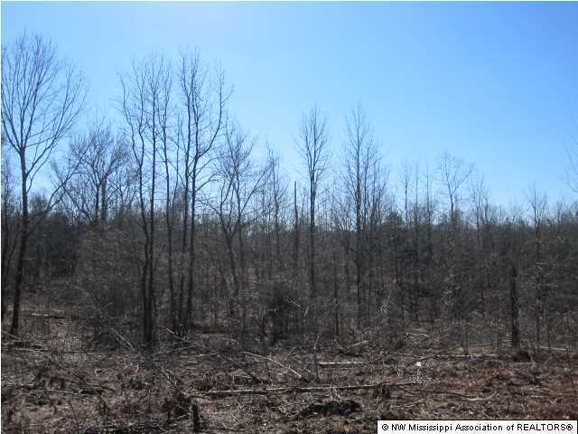 116 Tate Marshall Road Coldwater, MS 38618 - Photo 9 of 27 Additional Photo