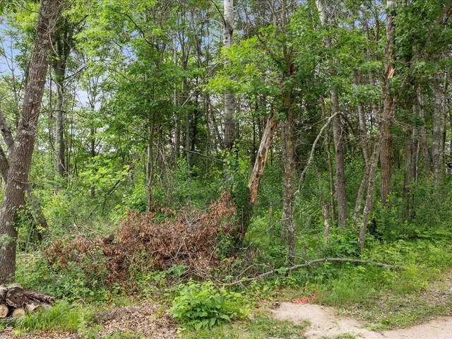 $229,000 | Tbd East Cree Bay Circle, Pequot Lakes, MN 56472