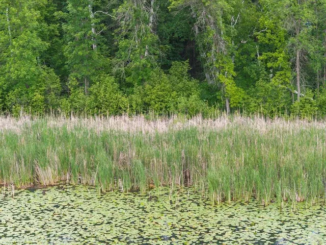 $229,000 | Tbd East Cree Bay Circle, Pequot Lakes, MN 56472