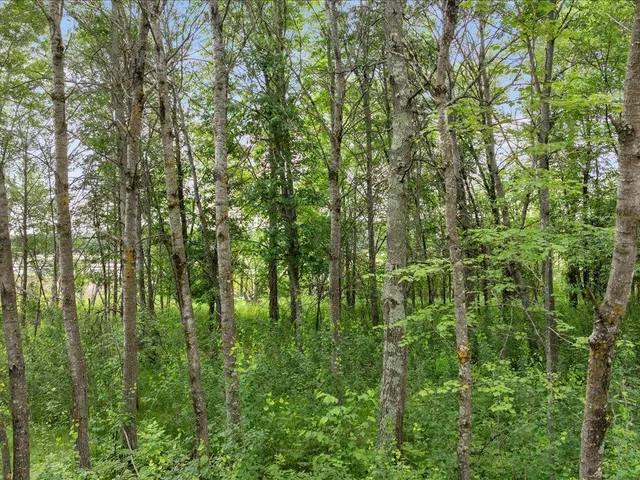 $229,000 | Tbd East Cree Bay Circle, Pequot Lakes, MN 56472