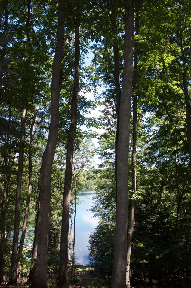 2487 East Potter Road Traverse City, MI 49696 - Photo 4 of 31 1820946-3.JPG