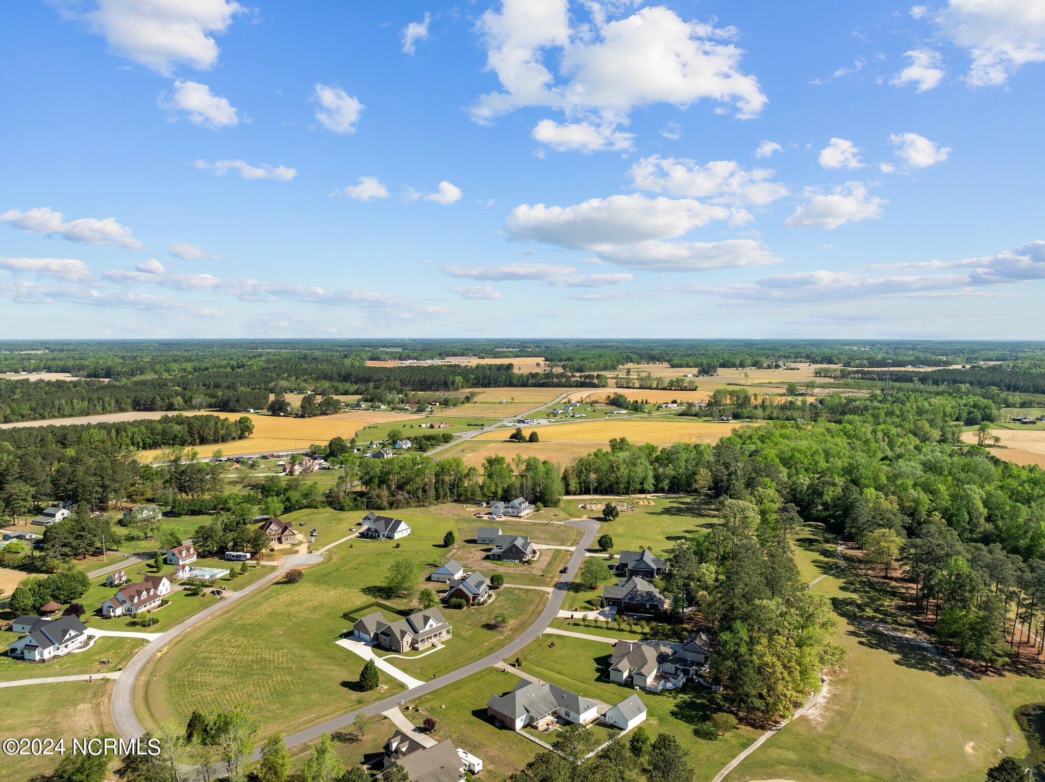 302 Golf Course Drive Pinetops, NC 27864 - Photo 24 of 34 24-web-or-mls-DJI_0969
