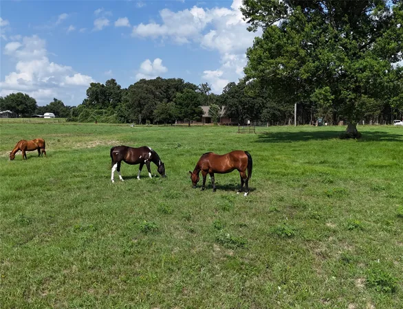 $749,000 | 4952 Fm 3091, Madisonville, TX 77864
