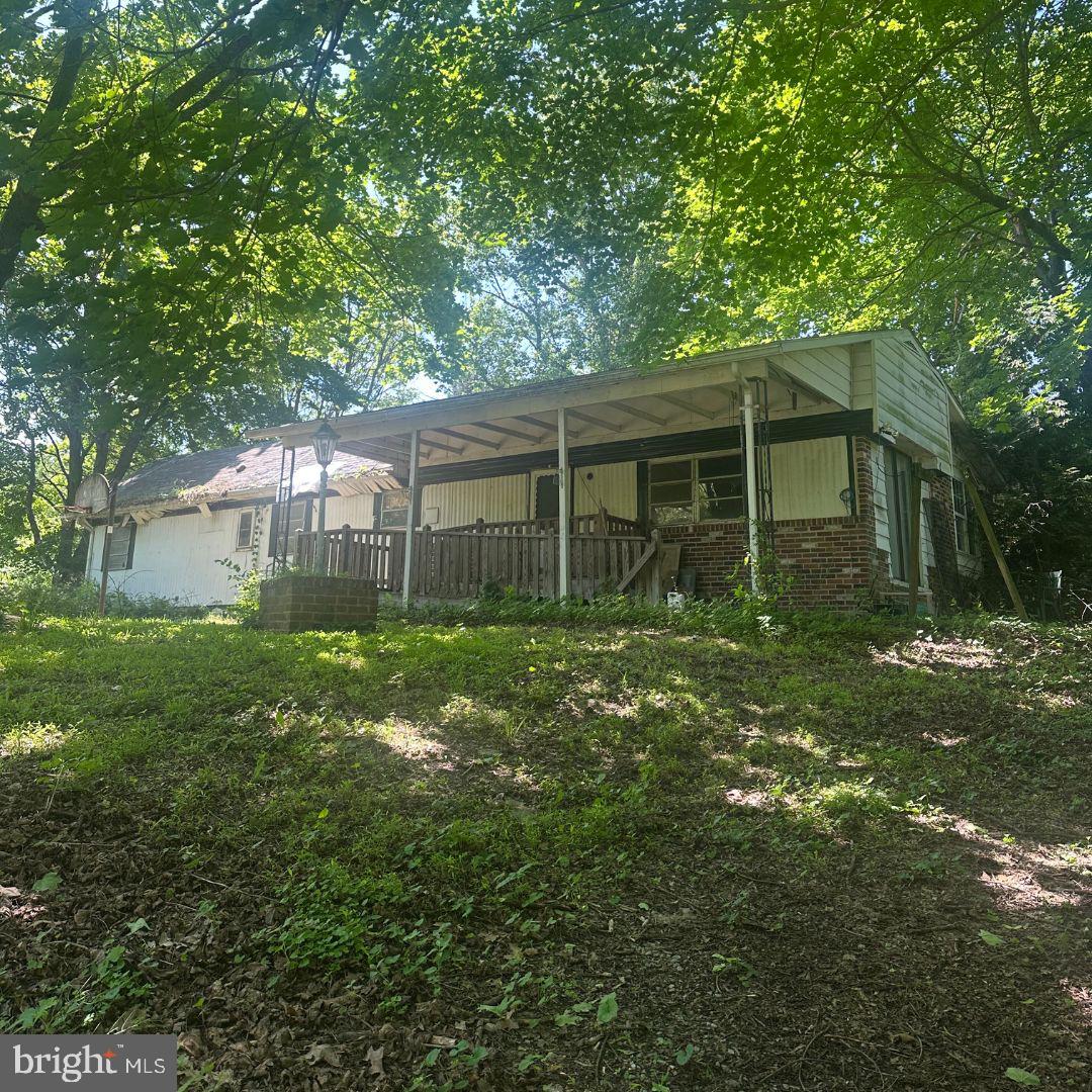 a backyard of a house with plants and large tree