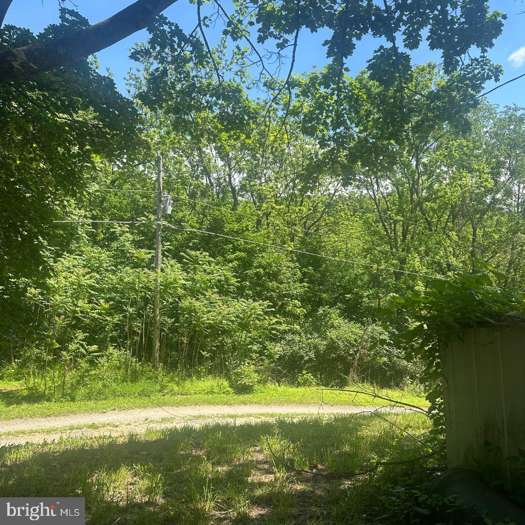 1175 Bollinger Road Littlestown, PA 17340 - Photo 2 of 5 a view of a green field with lots of bushes