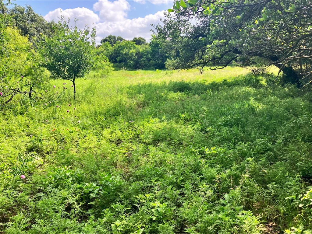 4605 West Ranch Road Mason, TX 76856 - Photo 11 of 26