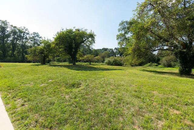 a view of a field with trees in the background