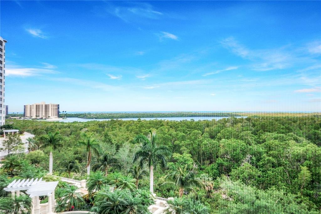 275 Indies Way, Unit 605 Naples, FL 34110 - Photo 28 of 41 Gulf View