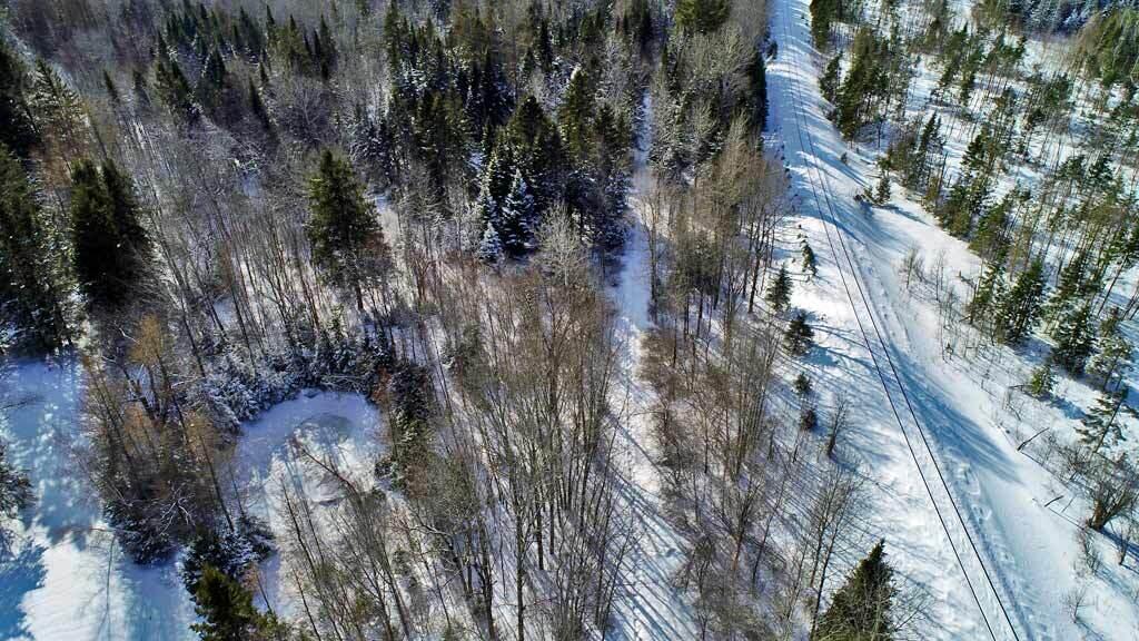 Lot 7 Off Currier Road Oakfield, ME 04763 - Photo 29 of 36 maine-aroostook-land
