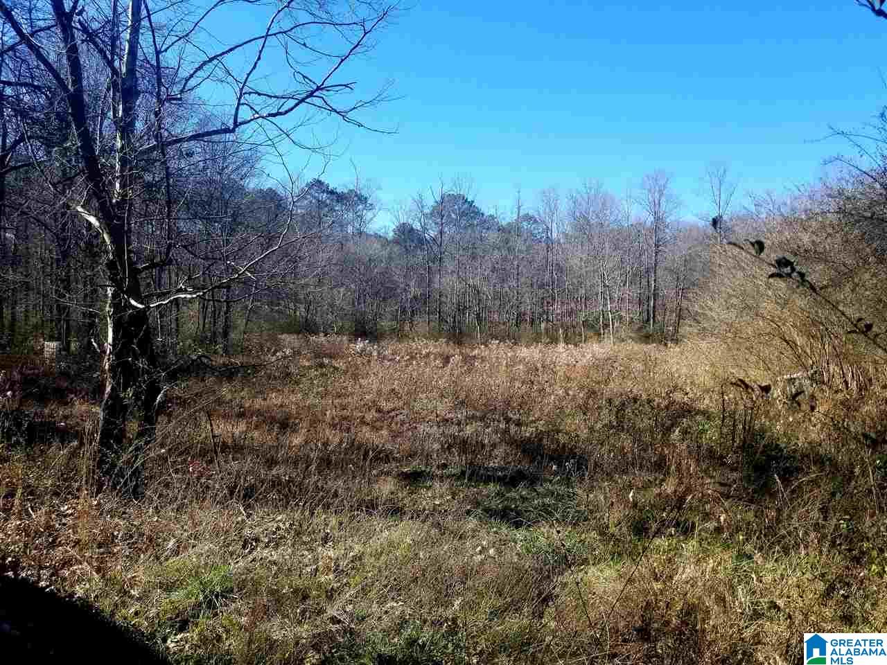 11640 Bear Creek Road Vandiver, AL 35176 - Photo 2 of 10