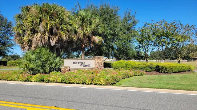 a view of a garden with plants
