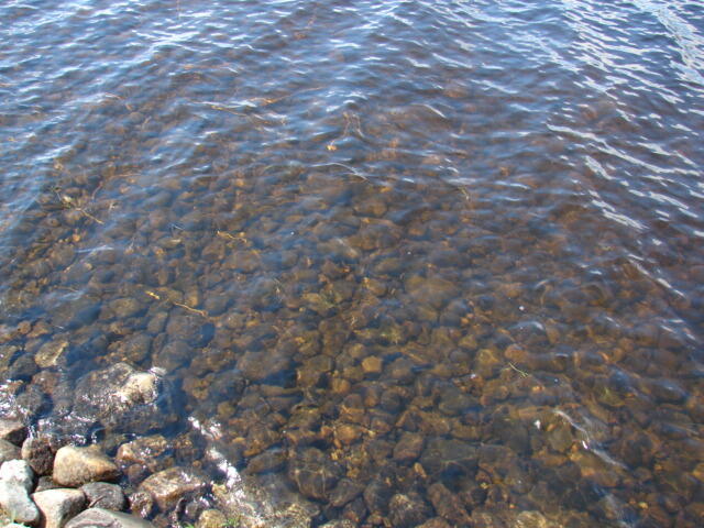 Lot 76.3 Row Off Long Falls Dam Road New Portland, ME 04961 - Photo 11 of 16 Gilman Pond (11)