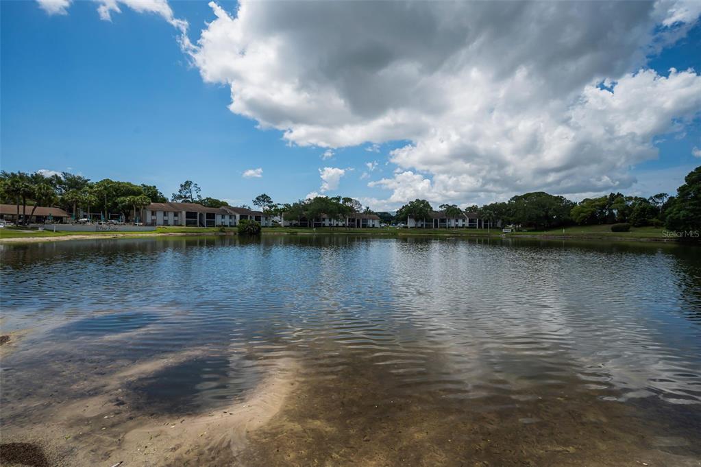 1870 Pine Ridge Way West, Unit G1 Palm Harbor, FL 34684 - Photo 41 of 77