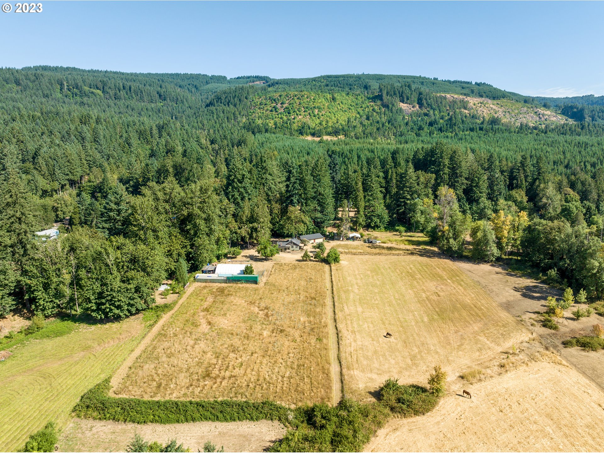 40702 Potter Creek Road Springfield, OR 97478 - Photo 24 of 31 Gallery Image 24