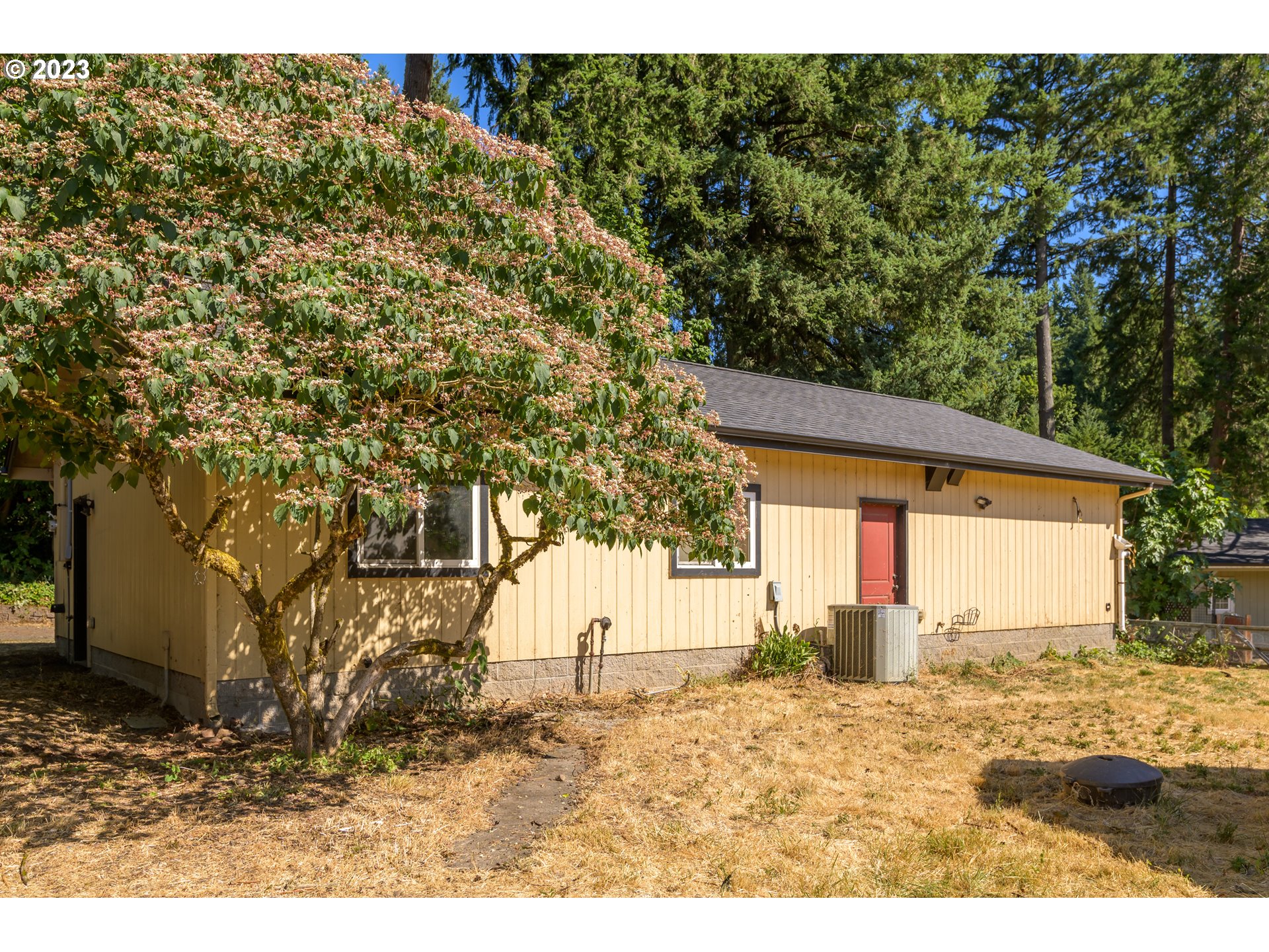 40702 Potter Creek Road Springfield, OR 97478 - Photo 9 of 31 Gallery Image 9