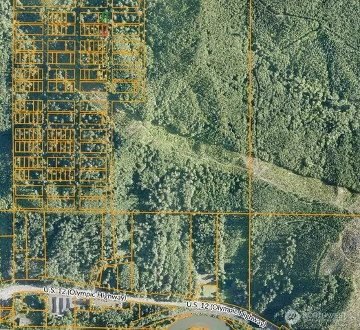 a view of a forest with a building