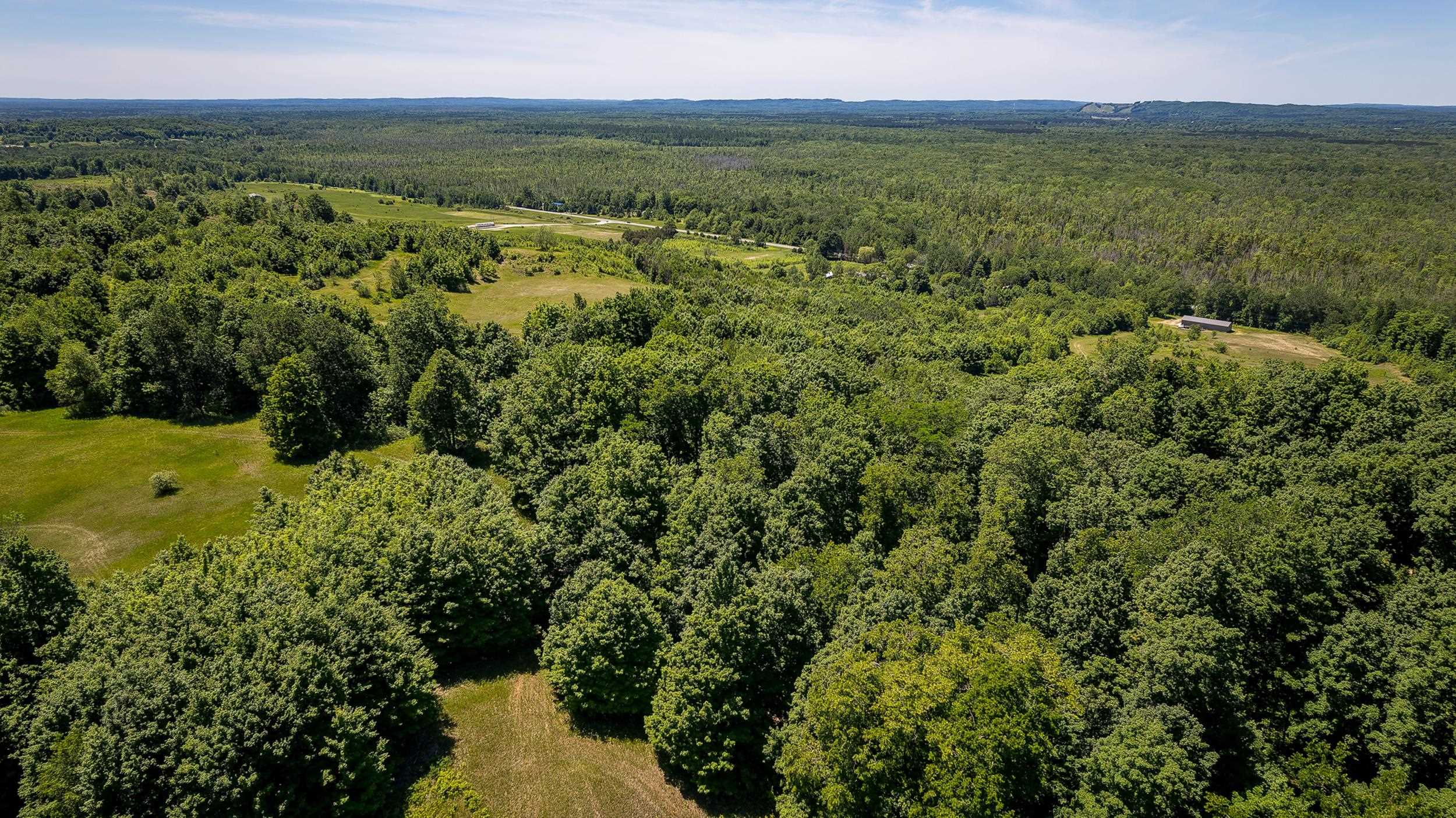 0 Nessen City Road Copemish, MI 49625 - Photo 4 of 17