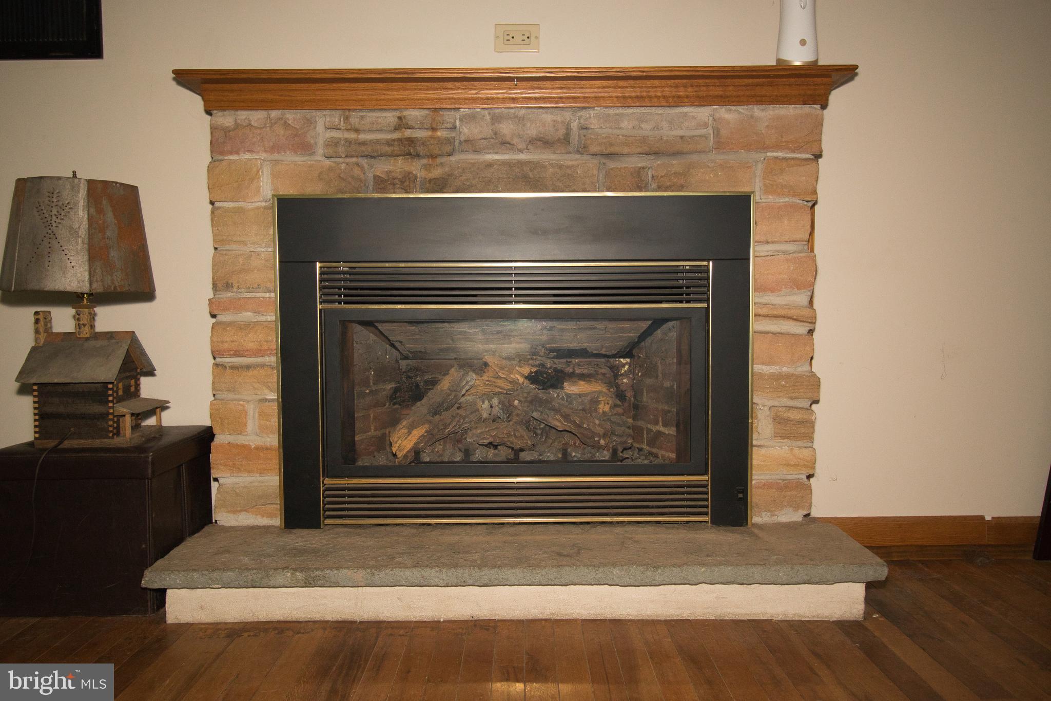 1005 Callowhill Road Perkasie, PA 18944 - Photo 15 of 24 Fireplace