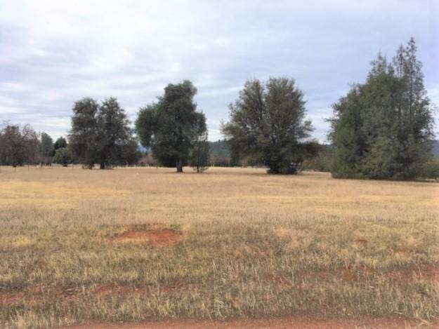 Manzanillo Way Redding, CA 96003 - Photo 1 of 1 a view of yard covered with snow in front of house
