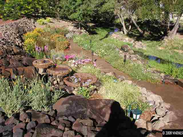 22886 Blackwillow Way Reno, NV 89521 - Photo 7 of 9 a view of a garden with flowers