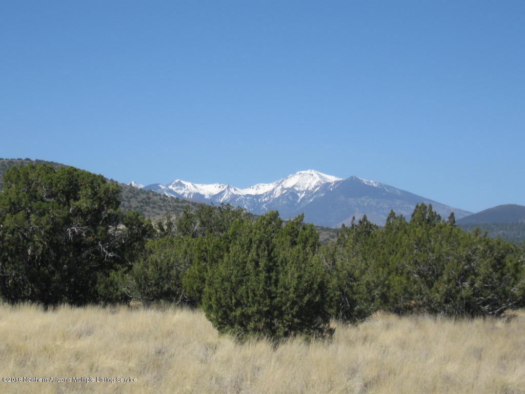 43064 Alpine Ranch Flagstaff, AZ 86004 - Photo 1 of 1 View of Peaks