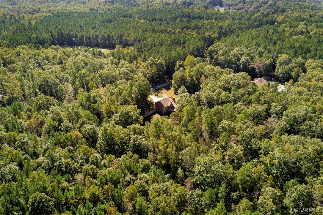 9200 Cattail Road Chesterfield, VA 23838 - Photo 31 of 37 a view of a forest with a tree